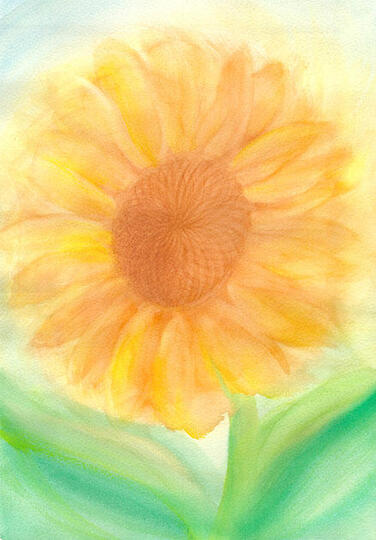 Girasole - Acquarello per l'Associazione Pedagogica Waldorf