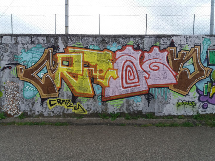 Un pezzo di Silvano del 2021 Un pezzo di Silvano del 2021